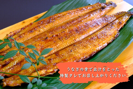 【徳島県産】美波町の森が育んだ「樵木（こりき）備長炭」で焼き上げる。外はパリッ、中はふっくら。職人手焼きの極上うなぎ（大きめ2尾）ふるさと納税 うなぎ 鰻 蒲焼 国産 徳島県 美波町 炭火焼 備長炭 手焼き 大きめ 高級 絶品 お取り寄せ ギフト 土用の丑 SDGs サステナブル 環境保全 伝統　ウナギ