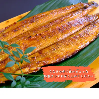 【徳島県産】美波町の森が育んだ「樵木（こりき）備長炭」で焼き上げる。外はパリッ、中はふっくら。職人手焼きの極上うなぎ（大きめ5尾）ふるさと納税 うなぎ 鰻 蒲焼 国産 徳島県 美波町 炭火焼 備長炭 手焼き 大きめ 高級 絶品 お取り寄せ ギフト 土用の丑 SDGs サステナブル 環境保全 伝統　ウナギ