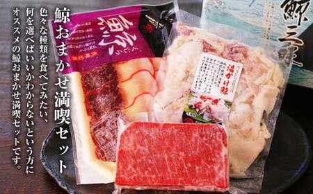 【7営業日以内発送】鯨 おまかせ 満喫セット 5種類以上 約450g以上 食べ比べ セット くじら 鯨肉 おつまみ 珍味