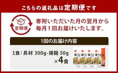 【全6回定期便】《具材付》長崎冷凍皿うどん (4食) ／ 長崎皿うどん 長崎 皿うどん さらうどん 麺 麺類 スープ 具付き 具材付き 小分け 簡単調理 グルメ 冷凍 ひふみ 長崎市