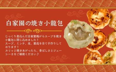 【全3回定期便】【詰め合わせ】ぶたまん 20個 × 焼餃子10個 × 焼小籠包8個 セット 詰合せ 惣菜 ぎょうざ 豚まん 豚饅 ギョーザ 中華 国産豚 豚肉 長崎