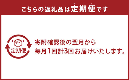 【全3回定期便】 おまかせフラワーアレンジメント 【S】 ／ 長崎県産 お花 花 ギフト