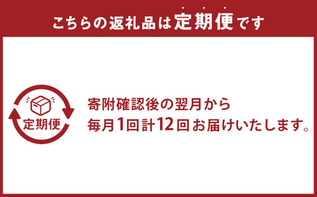 【全12回定期便】 おまかせフラワーアレンジメント 【L】 長崎県産 お花 花 ギフト