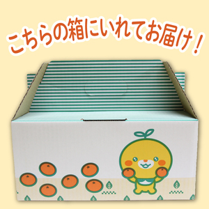 【先行予約】【2026年11月下旬頃から順次発送】あいか（紅まどんな と同品種） 1.5kg（5～8玉） | みかん 愛果28号  あいか28号 紅マドンナ 紅まどんな と同品種 蜜柑 アイカ 柑橘 果物 贈答 愛媛のみかん くだもの フルーツ ご家庭用 数量限定 愛媛三大柑橘（ 紅まどんな せとか 甘平 ） 愛媛県産 ミカン 愛媛県 松山市【SSK011】