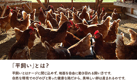 【12か月定期便】永光農園の平飼い有精卵　 25個+割れ保証5個