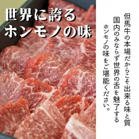 但馬牛 赤身焼き肉用(モモ又は肩)500g【配送不可地域：離島】【1046854】