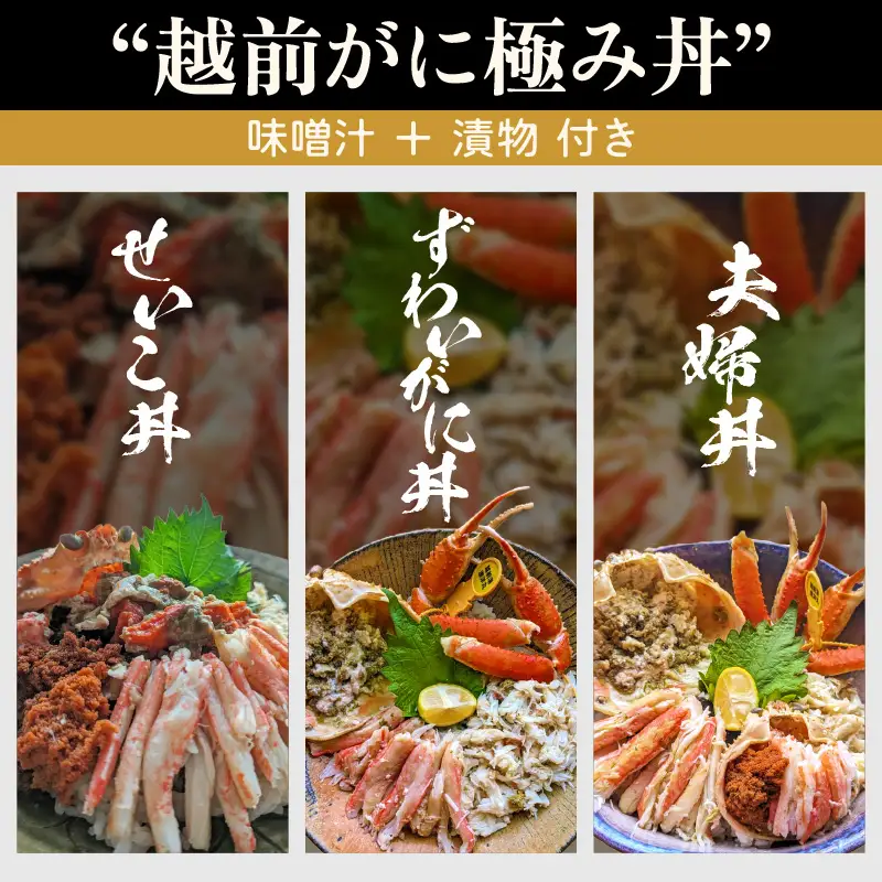 利用券 昼食事券 60,000円分 「日本海が目の前！絶景！お店で食べる 贅沢かに料理 福井県 越前町」【 2年間有効期限 越前かに 食事券 食事 チケット 券 海の幸 カニ料理 蟹 魚介 かに 蟹 海産物 カニ ガニ 贅沢 グルメ 満腹グルメ 】 [e33-o002]