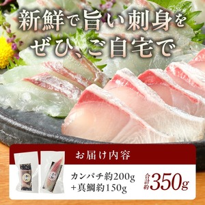 【冷蔵】カンパチと真鯛の新鮮お刺身セット少量お試しパック N019-YA193
