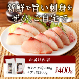 【冷蔵】ブリとカンパチの新鮮お刺身セット少量お試しパック N019-YA194