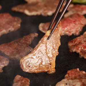 熊本県産 黒毛和牛 焼肉 切り落とし 約 1kg | 肉 にく お肉 おにく 牛 牛肉 和牛 焼き肉 切り落し 切落し 1キロ 熊本県 玉名市