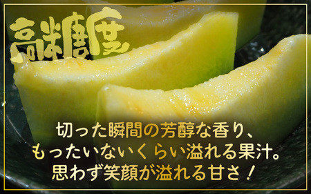 【先行予約】 マスクメロン 4Lサイズ以上 1玉 （約2～2.5kg） 虜になる美味しさにめろめろン? 大切な人の笑顔がみたいあなたへ 【2026年10月下旬以降順次発送予定】【メロン めろん フルーツ デザート 果物 くだもの 果実 青肉 糖度 甘い ジューシー お取り寄せ グルメ 産地直送】 [A-16204]
