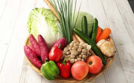 熊本県産 野菜 の 詰め合わせ 8品以上 やさい 季節の野菜 詰合せ 国産 