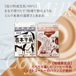 ＜吉本牛乳（さかわの地乳）・ 吉本コーヒー 各200ml×5本 合計10本＞ 　コーヒー牛乳 吉本乳業 高知県 佐川町 成分無調整 生乳100％ ぢちち NHKあさイチで紹介 ご当地牛乳