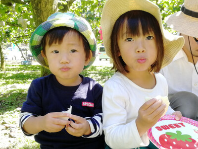 梨狩り ナシ収穫体験 + 生ジュース搾り体験 土本観光果樹園 お土産付 高知で果物狩り