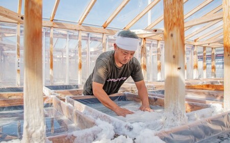 【ふるさと納税】＜さかわの地乳×田野屋塩二郎の塩アイス　6個＞高知県 佐川町 ぢちち　振り塩して食べるアイス　アイスミルク　贈答用【冷凍】