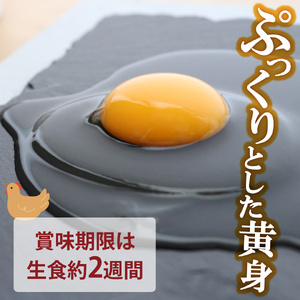 【ふるさと納税】＜土佐ジローの卵　6個パック×6（36個）＞高知県 佐川町 もちおのしっぽ【冷蔵】 高知県 佐川町 もちおのしっぽ【冷蔵】有精卵 平飼い 放し飼い ポストハーベスト農薬フリー（PHF ）飼料 非遺伝子組み換え飼料 使用 ブランド卵