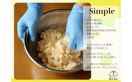 幸せのモーニングスコーン scone 5種10個 内容お任せ プレーン チョコ 抹茶くるみ 柑橘系 季節限定フレーバー各2個 ギフト 個包装 冷凍発送