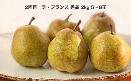 【定期便3回】やまがた冬の果物 満喫便 FY24-300