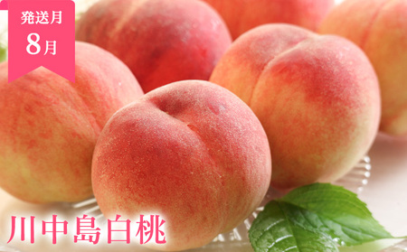 【定期便3回】山形まるごと！人気のくだものベスト3 FZ25-959