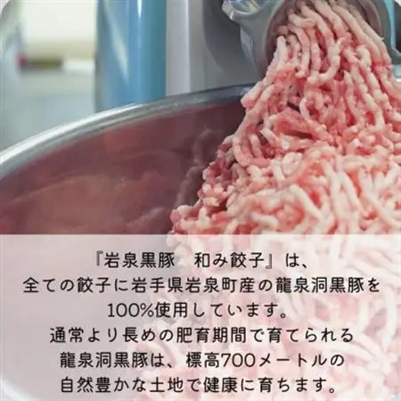 【岩泉黒豚 和み餃子】岩手県岩泉町産 龍泉洞黒豚使用の手包み餃子 20個_惣菜・加工品 餃子  ぎょうざ ギョウザ_【配送不可地域：離島】【1540553】