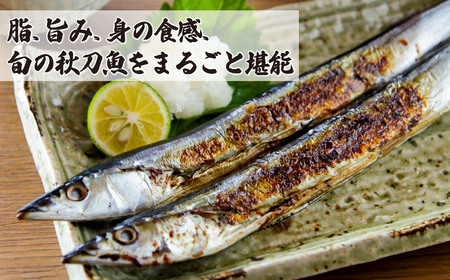 旬 の 美味しさ を閉じ込めた さんま 丸干し ４匹入り×５袋セット 脂 ののった 旬の 秋刀魚 丸ごと 一夜干し 旬の 旨み 脂 を閉じ込めました サンマ 丸干し 海鮮 魚介 三重県 尾鷲 IW-8