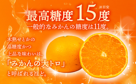 せとか 4.2kg 大トロ 木熟 みかん