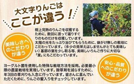 【果汁100％】平泉りんごジュース1箱(30本入り) 【dma100-195x30x1B】