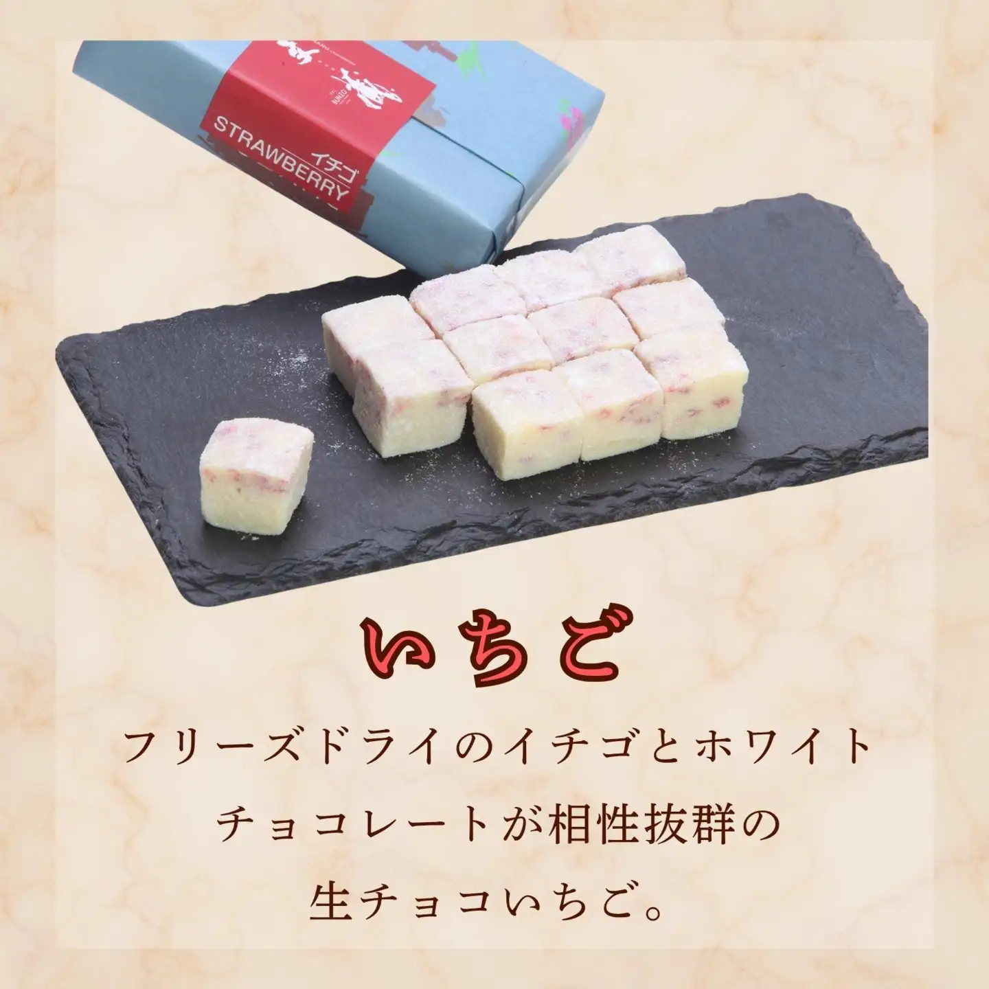 BUNZO 生チョコ 4箱セット （Aw-002）生チョコ