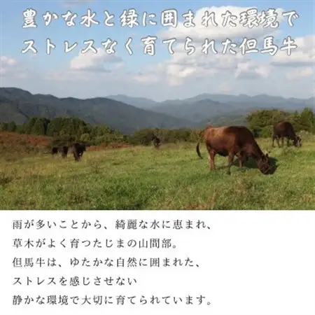 但馬牛　焼き肉用(霜降り部位　500g)【配送不可地域：離島】【1072500】