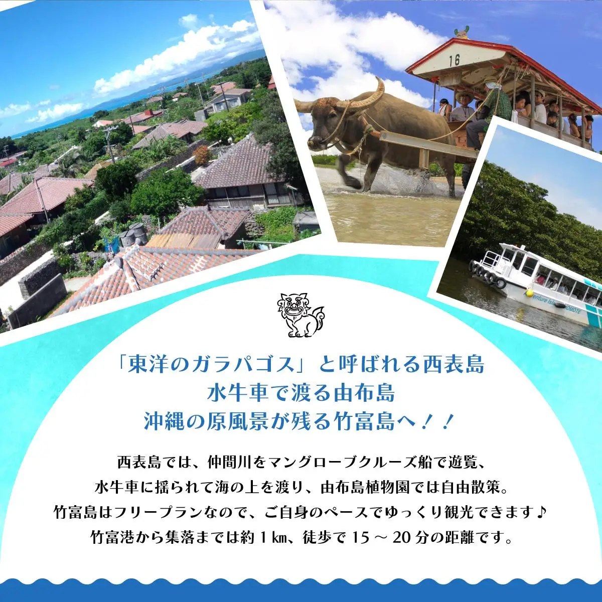 西表島・由布島・竹富島３島めぐり（竹富フリープラン)