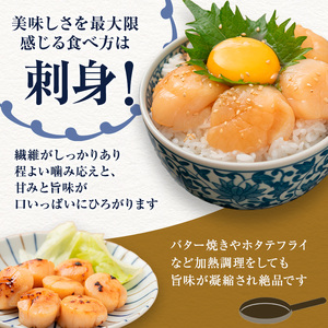 【枝幸ほたて】冷凍ほたて貝柱1kg 3Sサイズ 枝幸水産加工業協同組合【 冷凍 貝柱 刺身 大 魚介 海 帆立 北海道 オホーツク 枝幸 】