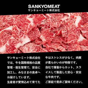 【定期便全3回】国産黒毛和牛切り落とし(計2.7kg) 牛肉 牛 切り落とし 切落し 小間切れ 小分け 真空パック 牛丼 カレー 肉じゃが 炒めもの 真空パック 黒毛和牛 定期便 t0036-007