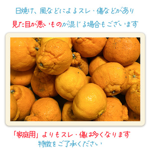【2027年2月下旬頃から順次発送】不知火 しらぬい 約5kg 【訳あり】でこぽんと同品種 柑橘類 先行予約 フルーツ 柑橘類 先行予約 果物 フルーツ みかん シラヌイ 人気 おすすめ 愛媛 松山 田中農園【TNN0042】