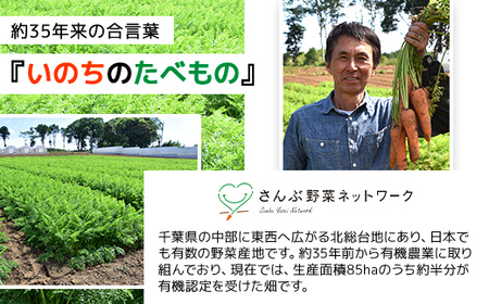 春にんじん 訳あり 有機JAS認証 特別栽培にんじん 10kg　SMF002