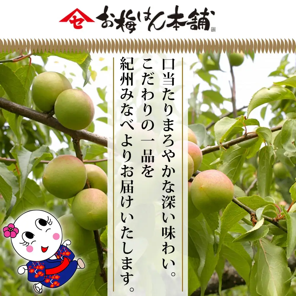 紀州はちみつ小町 700g【sekifz002B】