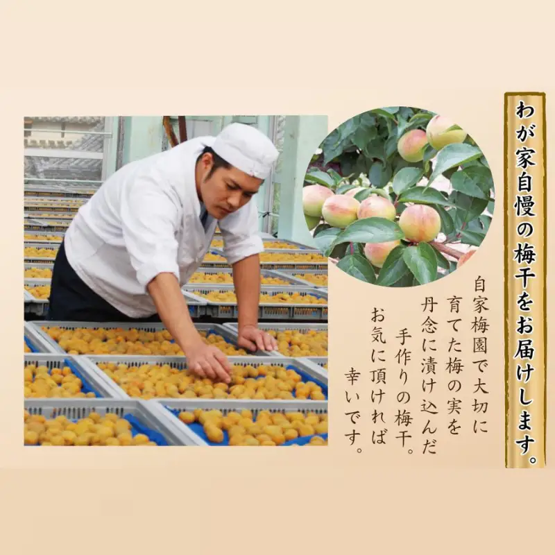 甘さ色々・梅干2品　yokosho003A【yokosho003A】