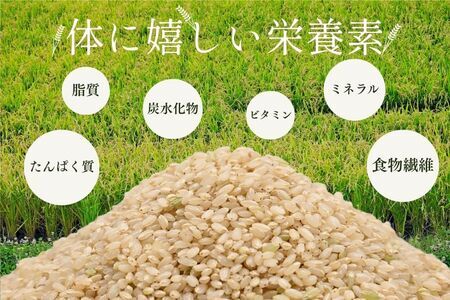 北海道奈井江町　ゆめぴりか　玄米　30kg