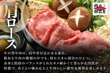 飛騨牛 A5等級【冷蔵配送】カタローススライス【500g】着日指定可 飛騨牛