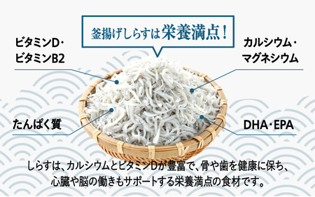 釜揚げ しらす 2kg 兵庫県産 /  しらす