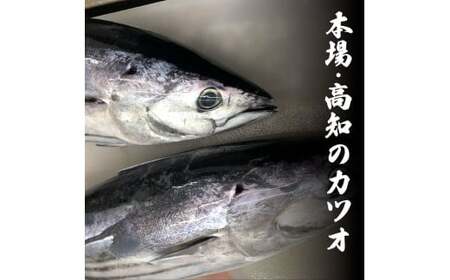 訳ありカツオ タタキ 3kg 6ヶ月定期便