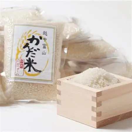 【毎月定期便】鮮度の米　かんだ米『コシヒカリ』精米　真空パック　2合×12袋全6回【4053223】