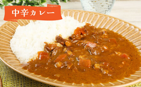 隊員食堂カレー（中辛2個・牛すじ2個）・お米600ｇセット贈答 限定 レトルト 個包装 夢つくし [ABAX006] 