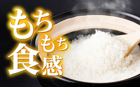 【R7年産】循環農法米 にこまる 白米 10kg / 米 こめ コメ おこめ お米 白米 にこまる / 諫早市 / 株式会社土井農場 [AHAD062]