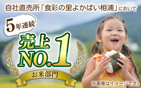 【令和7年度産】兵蔵さんの棚田 米 5キロ 米 5kg 米 お米 5kg [QAT016]