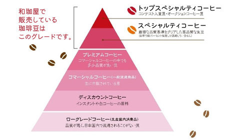 【挽き方選べる】スペシャルティコーヒー豆 5種類飲み比べセット【珈琲鑑定士が選びました】［A-043004］/ コーヒー
