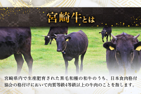 宮崎牛 ローストビーフブロック 400g（100g×4P） お試しソース付き 宮崎牛 和牛 黒毛和牛 牛肉 ローストビーフ 牛もも肉 TK-95
