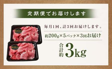 【全3回定期便】【A4～A5ランク】長崎和牛 特選 切り落とし 約1kg (200g×5パック) 牛肉 肉 牛 和牛 国産牛 国産 お肉