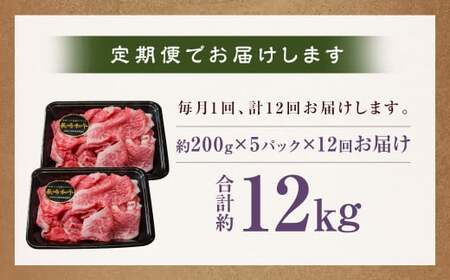 【全12回定期便】A4～A5ランク 長崎和牛 特選 切り落とし 約1kg (200g×5パック) お肉 牛肉 肉 牛 和牛 国産牛 国産