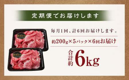 【全6回定期便】【A4～A5ランク】長崎和牛 特選 切り落とし 約1kg (200g×5パック) 牛肉 肉 牛 和牛 国産牛 国産 長崎和牛