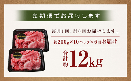 【全6回定期便】【A4～A5ランク】長崎和牛特選切り落とし 約2kg (200g×10パック) 長崎 牛肉 肉 牛 和牛 国産牛 国産 長崎和牛 すき焼き 焼肉 バーベキュー 小分け 冷凍